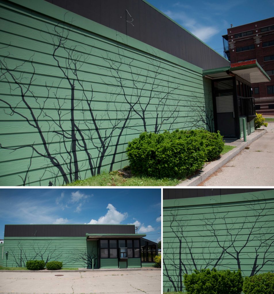 “Peoria #urbanshadowsofnature” Mural Painting for urban requalification on an abandoned building in Peoria (Illinois, US), Size: 6m x 2.4m, 2013.